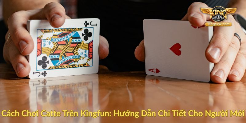 Cách Chơi Catte Trên Kingfun Hướng Dẫn Chi Tiết Cho Người Mới